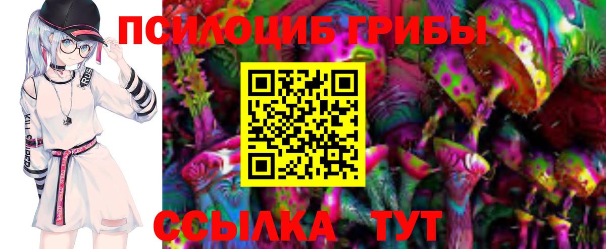 Гулькевичи  Псилоцибиновые грибы GOLDEN TEACHER  купить закладку  Вход с VPN 